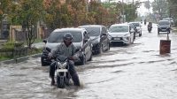 Jalan Lintas Provinsi Jalur Dua Sangat Memprihatinkan