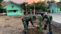 Satgas RI-RDTL Yonarhanud 15/DBY Pos Wini Gelar Penanaman Pohon Kelapa di Desa Humusu