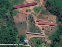 Proyek Peternakan Ayam di Bendang Raya Diduga Beralih Menjadi Milik Pribadi Pejabat PUPR Kukar