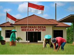 Gerakkan Ekonomi Desa, Bupati Lutra Target 102 Koperasi Merah Putih Beroperasi di 2026