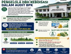 Catatan Fajar King : Dinas Kehutanan Kaltara Justru Jadi OPD Resmi Pengelola DBH Reboisasi dalam Audit BPK