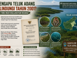 Catatan papaking : Mengapa Teluk Adang Dilindungi Tahun 2001?