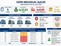 Catatan Papa King: CKPN Individual Rp0, Ketika Kredit NPL Belum Memiliki Nilai Pencadangan
