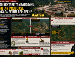 Catatan Papa King : 97,06 Hektare Tambang MHU di Hutan Produksi, Mengapa Belum Ber-PPKH?
