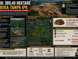 Catatan Papa King : 389,40 Hektare Lahan MHU di duga membuka Tanpa IPK, ke Mana 5.181,56 Meter Kubik Kayunya?