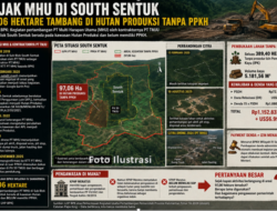 Catatan Papa King: Jejak MHU di South Sentuk: 97,06 Hektare Tambang Berada di Hutan Produksi Tanpa PPKH