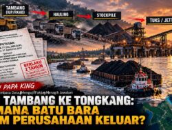 Catatan Papa King: Dari Tambang ke Tongkang, Ke Mana Batu Bara Enam Perusahaan Keluar?